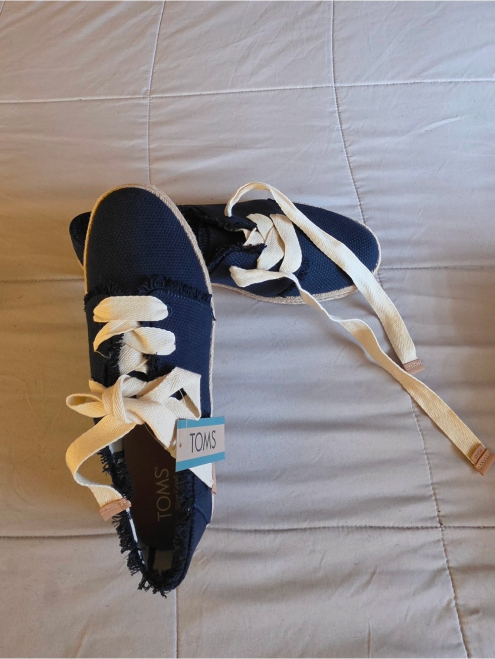 TOMS Navy Canvas Sneakers with Cream Laces